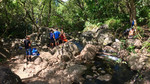 photo thumbnail #12