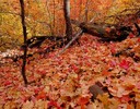 photo thumbnail #3