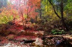 photo thumbnail #9