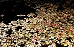 photo thumbnail #12