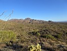 photo thumbnail #10