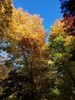 photo thumbnail #14