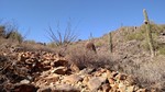 photo thumbnail #2