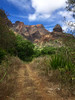 photo thumbnail #6