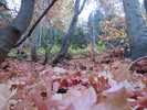 photo thumbnail #5