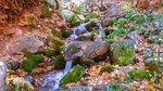 photo thumbnail #7