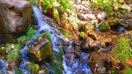 photo thumbnail #5