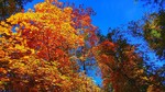 photo thumbnail #8