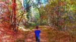 photo thumbnail #1