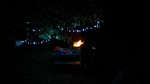 photo thumbnail #14