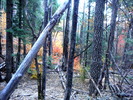 photo thumbnail #6