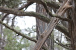 photo thumbnail #14