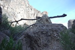 photo thumbnail #6