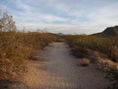 photo thumbnail #1