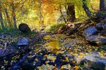 photo thumbnail #3