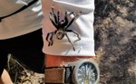 photo thumbnail #3