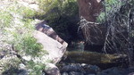 photo thumbnail #10