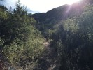 photo thumbnail #11