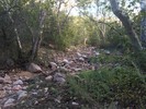 photo thumbnail #12