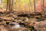 photo thumbnail #7