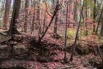 photo thumbnail #10