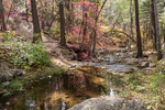 photo thumbnail #11