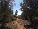 photo thumbnail #5