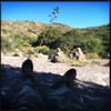 photo thumbnail #3