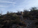photo thumbnail #3
