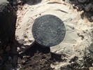 photo thumbnail #8