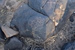 photo thumbnail #7