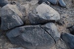 photo thumbnail #9