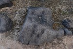 photo thumbnail #15