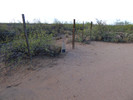 photo thumbnail #11