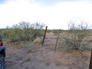 photo thumbnail #1