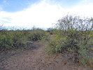 photo thumbnail #2