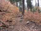 photo thumbnail #14