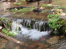 photo thumbnail #15