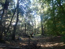 photo thumbnail #15