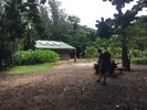 photo thumbnail #2