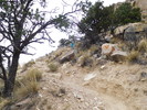 photo thumbnail #8