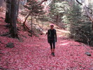 photo thumbnail #3