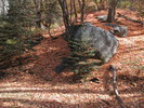 photo thumbnail #7