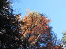 photo thumbnail #9