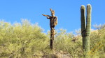 photo thumbnail #3