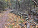 photo thumbnail #8