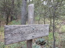 photo thumbnail #10