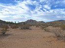 photo thumbnail #1