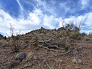 photo thumbnail #4