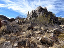 photo thumbnail #5